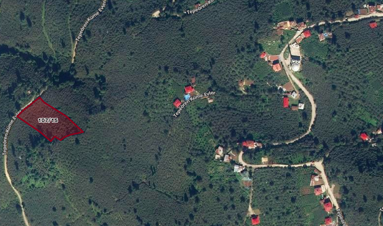 GİRESUN BULANCAK'TA 4.652 M2 SATILIK FINDIK BAHÇESİ